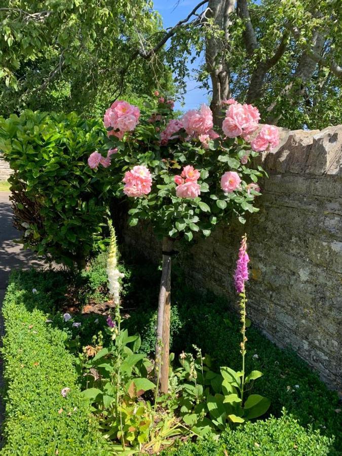 Parsnips House Bnb Glastonbury Ngoại thất bức ảnh